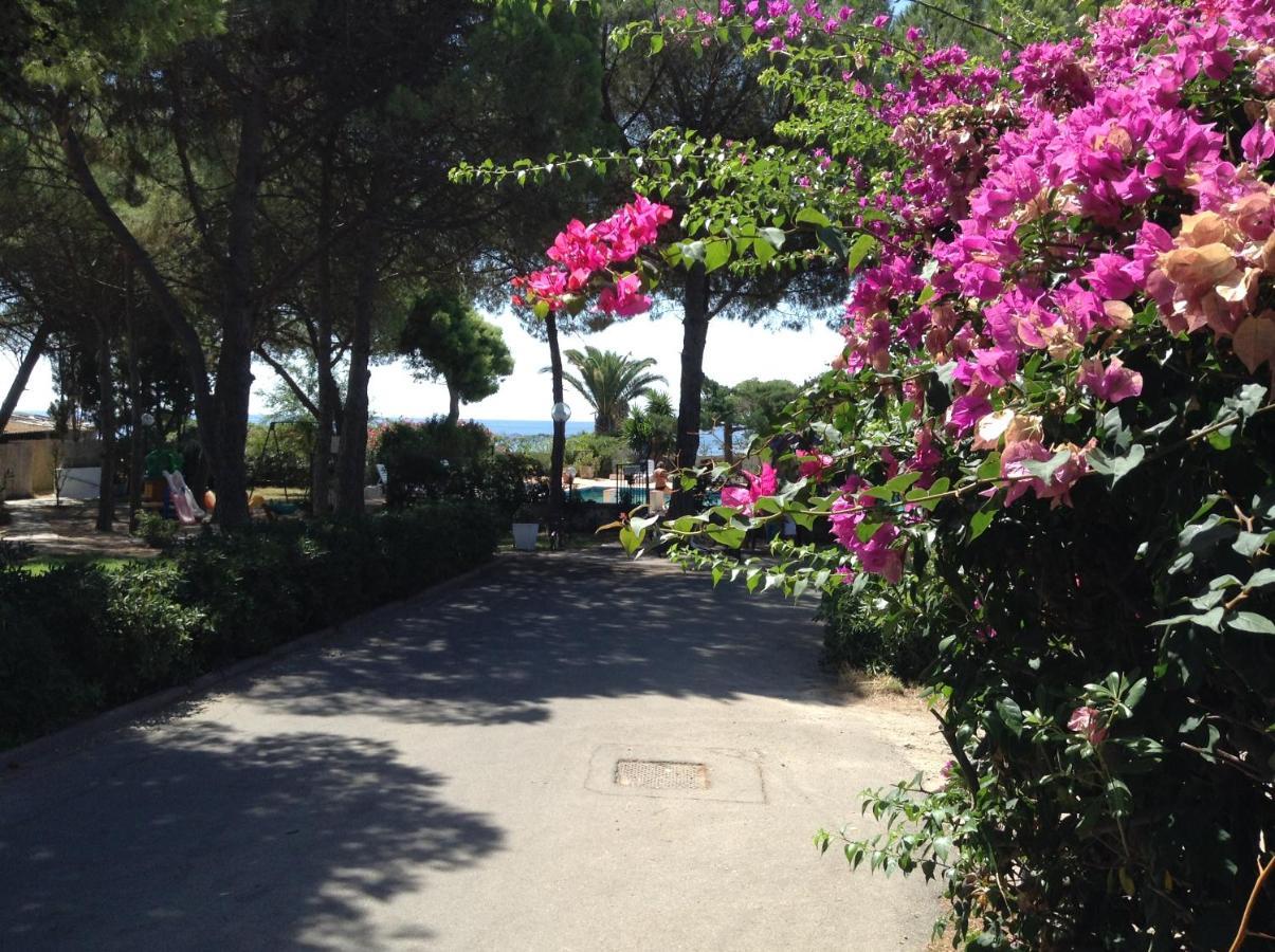 Deliziosa Villa 150 Metri Dal Mare Quartu SantʼElena Exteriör bild